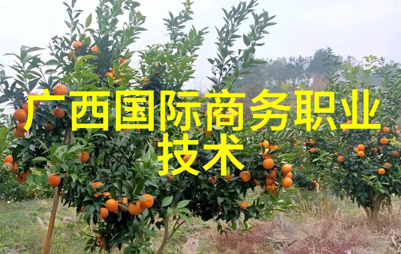 成功案例中的精彩总结性报告示范