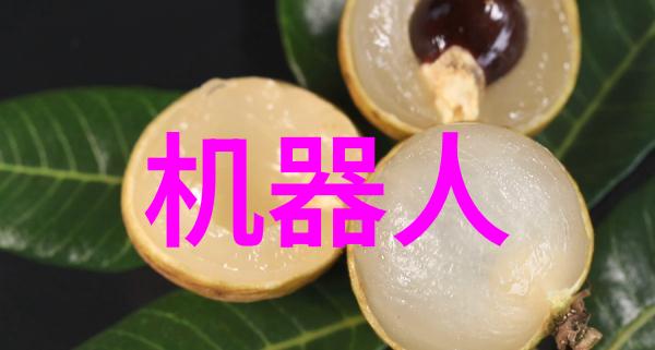 机智的矿石守护者实验室选矿设备的奇妙征程