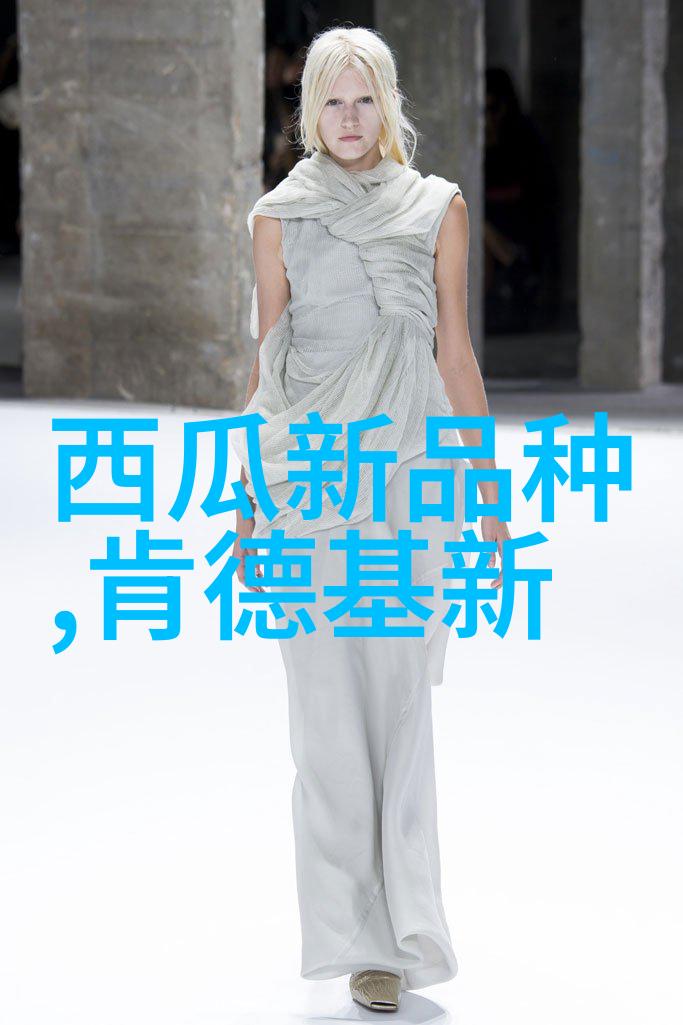 智能化改造煤炭分选机如何实现自动化运作