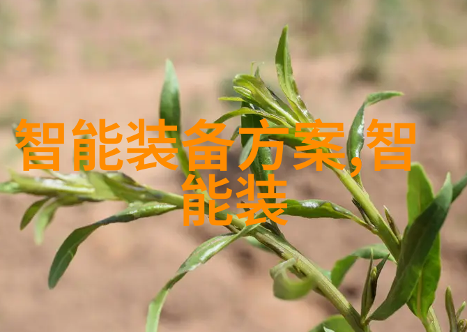 智慧的镜像倍智tas人才测评系统在现代教育评价中的应用与探究