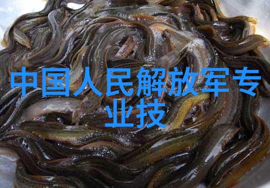 撰写高效的报告书技巧总结