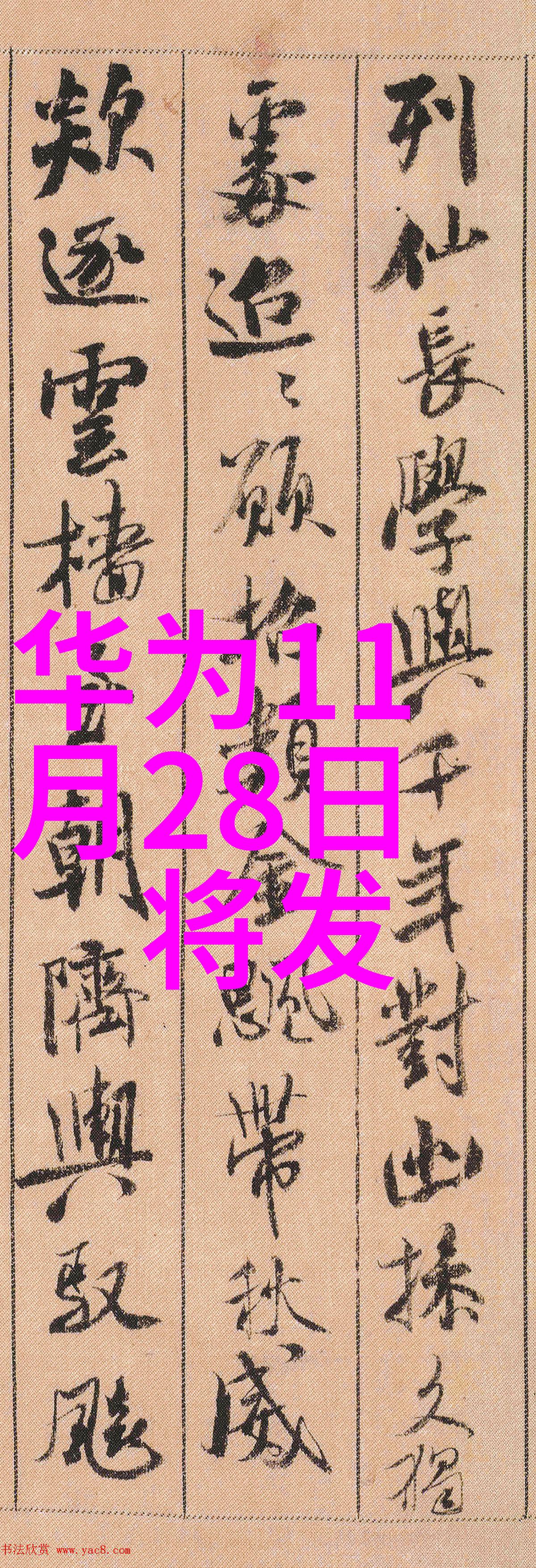 宁波职业技术学院培养未来技能型人才的摇篮