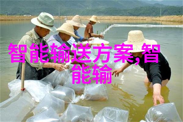 芯片结构微电子集成电路的精细层次